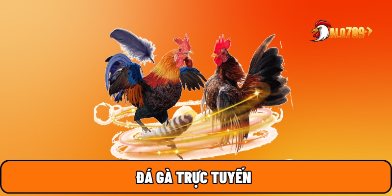 Đá gà trực tuyến