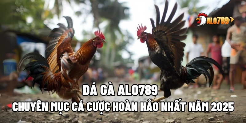 đá gà ALO789