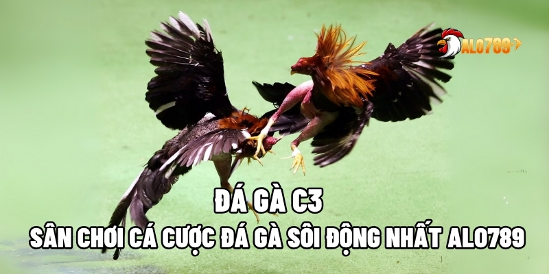 đá gà C3