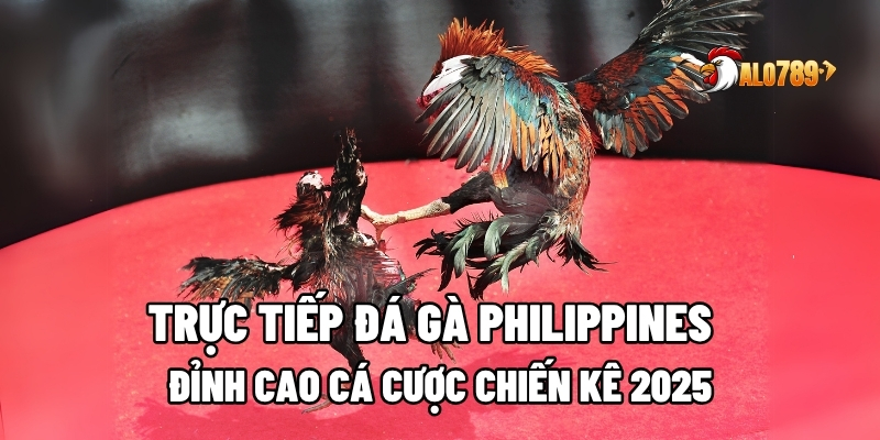 Trực tiếp đá gà Philippines